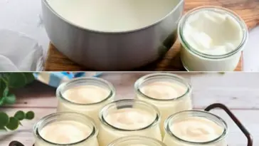 Griechischer Joghurt W2xEX 2.5x