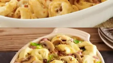 Haehnchen Tortellini Auflauf mit Kaese W2xEX 2.5x
