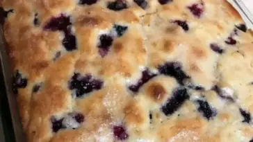 Italienischer Joghurtkuchen mit Heidelbeeren in wenigen Minuten W2xEX 2.5x