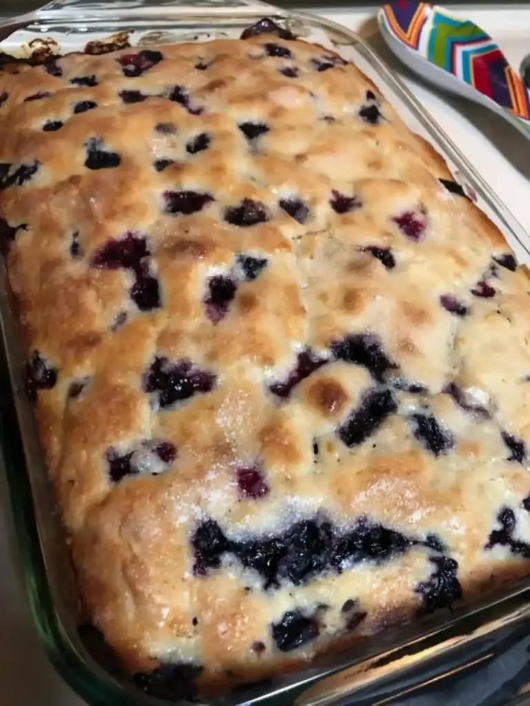 Italienischer Joghurtkuchen mit Heidelbeeren in wenigen Minuten