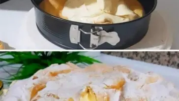 Karpatka Kuchen Das muss ich oefter machen W2xEX 2.5x Q99