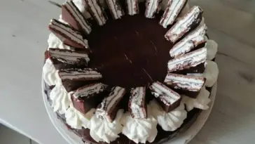 Kinder Pingui Torte W2xEX 2.5x