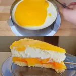 Pfirsich Maracuja Torte W2xEX 2.5x Q99