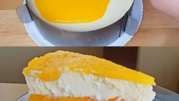 Pfirsich Maracuja Torte W2xEX 2.5x Q99