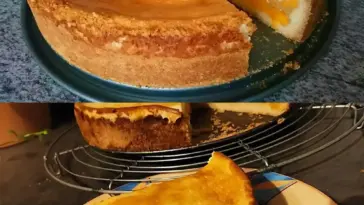 Pfirsichkuchen mit saftigem Guss fruchtiger leckerer und schneller Kuchen W2xEX 2.5x Q99