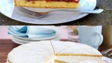 Preiselbeer-Käsesahnetorte