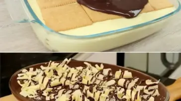 Schichtdessert mit Butterkeksen und Quark soooo lecker W2xEX 2.5x Q99
