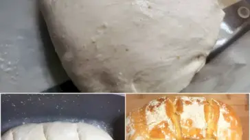 5-Minuten Brot