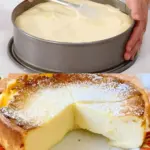 5 Minuten Quarkkuchen mit 100 g Griess 1 Packung Puddingpulver W2xEX 2.5x