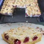 APFEL – STREUSELKUCHEN MIT QUARK VOM BLECH W2xEX 2.5x webp