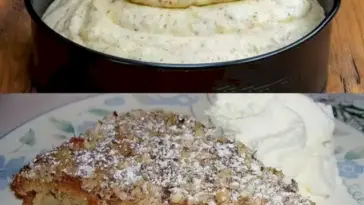 Apfel Zimt Nusskuchen der immer gelingt W2xEX 2.5x webp