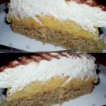 Apfelkuchen mit Vanillepudding und 2 Becher suesse Sahne je 200 g W2xEX 2.5x Q99
