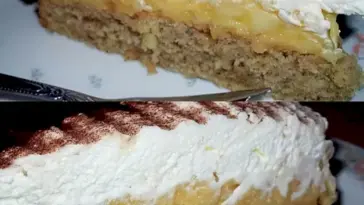 Apfelkuchen mit Vanillepudding und 2 Becher suesse Sahne je 200 g W2xEX 2.5x Q99