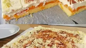 Biskuit Mandarinenkuchen vom Blech W2xEX 2.5x webp
