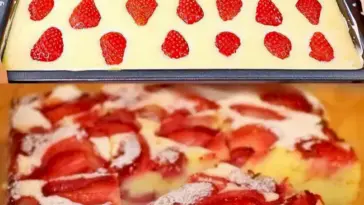 Biskuitkuchen mit Erdbeeren in 5 Minuten ein einfacher Tassenrezept W2xEX 2.5x Q99