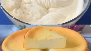 Blitz Kaesekuchen mit nur 3 Minuten Zubereitung W2xEX 2.5x