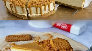 Cremiger Kaesekuchen ohne Backen das Rezept fuer ein leckeres Dessert W2xEX 2.5x webp