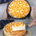Der schnellste kuchen und so lecker mandarinen kuchen