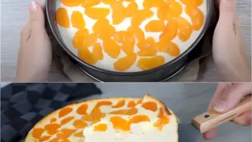Der schnellste kuchen und so lecker mandarinen kuchen