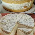 Die weltbeste Kaesesahne Torte W2xEX 2.5x webp
