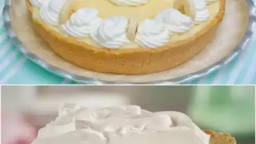 Diese cremige sanfte Bananentorte ist SO lecker und in wenigen Augenblicken schon fertig W2xEX 2.5x webp