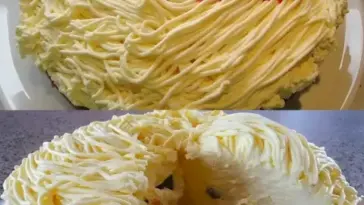 Dieser Spaghettikuchen hat zweifellos Suchtpotenzial ein absoluter Hingucker W2xEX 2.5x