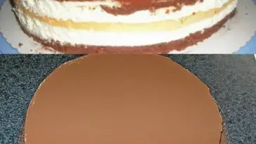 Drei Tage Suchtkuchen W2xEX 2.5x