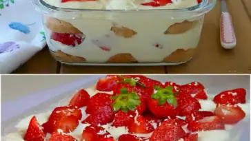 EINFACH HIMMLISCH ERDBEER TIRAMISU MIT WEISSE SCHOKOLAD W2xEX 2.5x webp