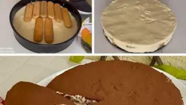 Erinnert an Tiramisu aber in nur 10 Minuten gemacht Eine Torte mit Biskuit und cremiger Fuellung fuer die Sie keinen Ofen benoetigen W2xEX 2.5x Q99