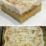 Fantakuchen mit Pflaumenmus Schmand W2xEX 2.5x
