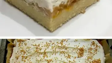 Fantakuchen mit Pflaumenmus Schmand W2xEX 2.5x