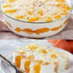 Fantastisches Mandarinen Tiramisu es ist ungalublich lecker W2xEX 2.5x Q99