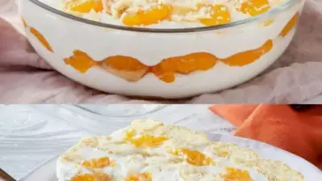 Fantastisches Mandarinen Tiramisu es ist ungalublich lecker W2xEX 2.5x Q99