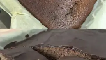 Fluffiger Gewuerzkuchen W2xEX 2.5x webp