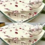 Hausgemachtes Eis mit nur 3 Zutaten. Nicht jeder kennt dieses Rezept Kein Gelee W2xEX 2.5x