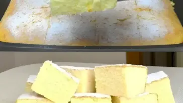Heisser Milchkuchen W2xEX 2.5x