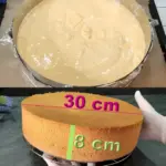 Ich veruehre 150 g Staerkemehl mit 7 Eier und backe Baeckermeister Biskuitboden W2xEX 2.5x