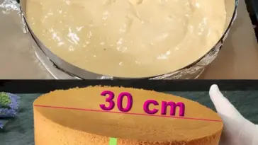 Ich veruehre 150 g Staerkemehl mit 7 Eier und backe Baeckermeister Biskuitboden W2xEX 2.5x