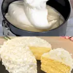 Kokos Biskuitkuchen luftig leicht und schmeckt wunderbar W2xEX 2.5x