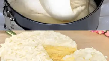 Kokos Biskuitkuchen luftig leicht und schmeckt wunderbar W2xEX 2.5x