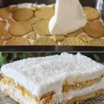Kokosnusskuchen ohne Backen das Dessert das Sie jetzt probieren sollten W2xEX 2.5x Q99
