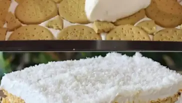 Kokosnusskuchen ohne Backen das Dessert das Sie jetzt probieren sollten W2xEX 2.5x Q99