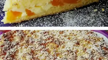 Mandarinen Kokos Kuchen W2xEX 2.5x