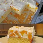 Mandarinen Schamkuchen Ein fantasievoller Kuchen den alle lieben W2xEX 2.5x
