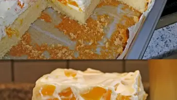 Mandarinen Schamkuchen Ein fantasievoller Kuchen den alle lieben W2xEX 2.5x