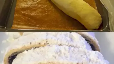 Mohnstollen da koennen Quarkstollen einfach nicht mithalten W2xEX 2.5x webp