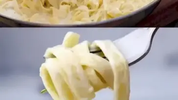 Nudeln in cremiger Knoblauch Kaesesauce W2xEX 2.5x webp