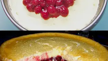 Omas Kirschkuchen in 5 Min. bereit fuer den Ofen W2xEX 2.5x Q99