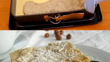Omas Nuss – Schnitten ein altes Familien Rezept W2xEX 2.5x Q99
