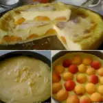 Pfirsichkuchen W2xEX 2.5x png